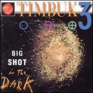 Big Shot in the Dark cover