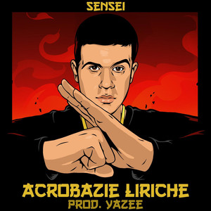 Acrobazie liriche album