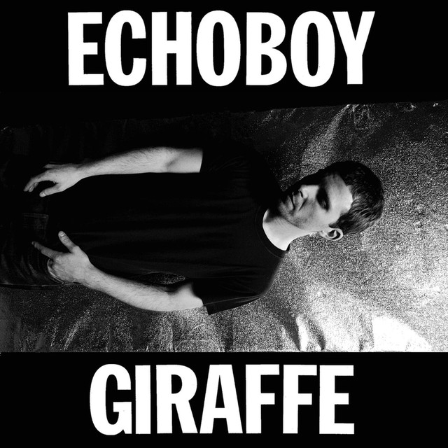 Giraffe cover