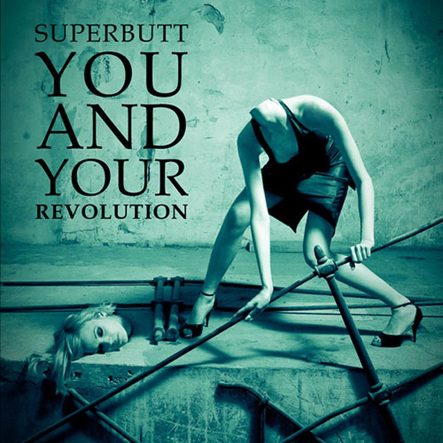You And Your Revolution cover