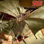 Trust cover