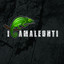 I nostri successi cover