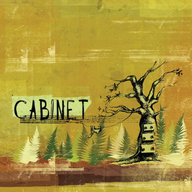 Cabinet cover