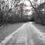 The Kenny Young Project Albumcover