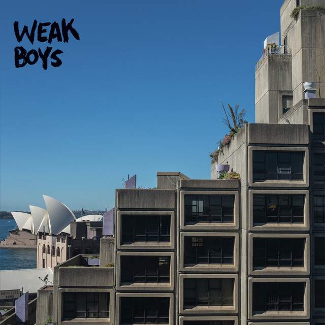 Weak Boys Photo