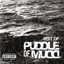 Best of Puddle of Mudd cover