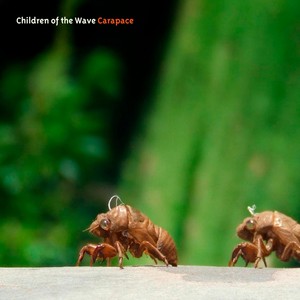 Children of the Wave