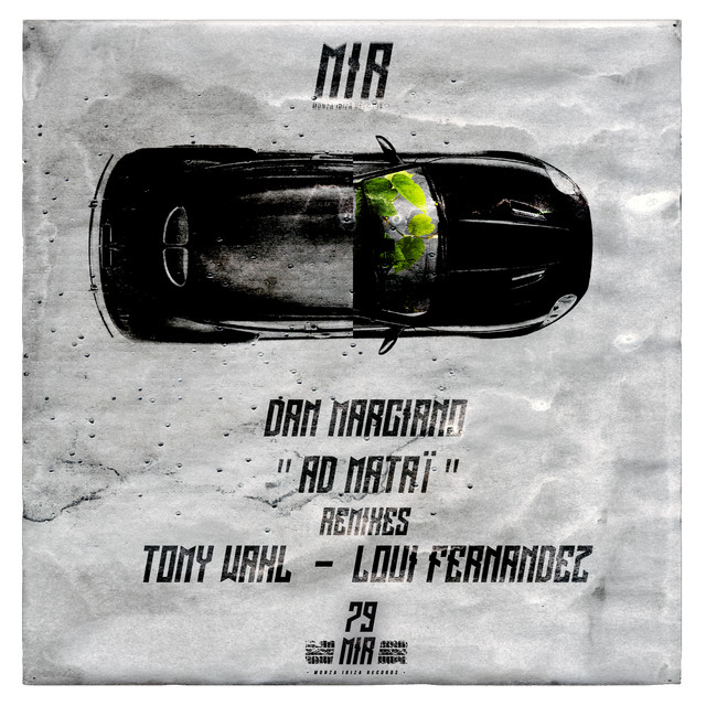 Dan Marciano Photo