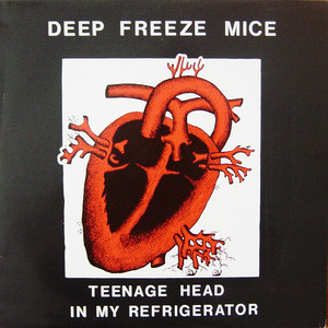 Teenage Head In My Refrigerator cover