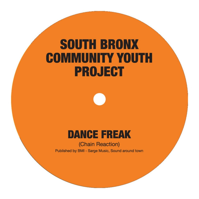South Bronx Community Youth Project Photo
