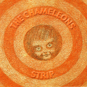 Strip album
