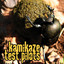 Kamikaze Test Pilots Albumcover