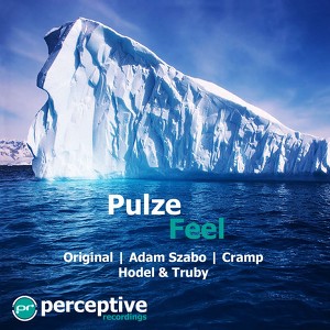 Pulze