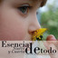 Esencia de todo Albumcover