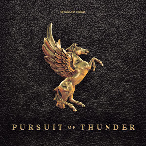 Pursuit of Thunder cover