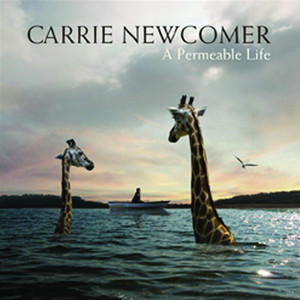 A Permeable Life cover
