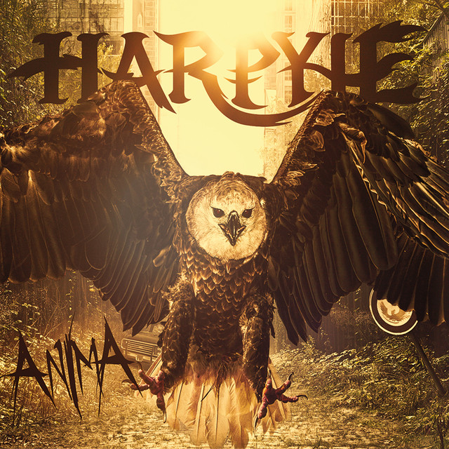 Anima cover