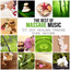 The Best of Massage Music: 50 Healing Tracks Zen Pure Nature, Deep Relaxation, Meditation, Spa Wellness, Sleep Inducing & Reiki, Relaxing Therapy Rain & Ocean Waves cover