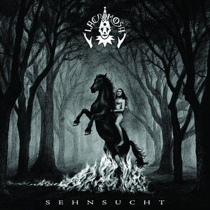 Sehnsucht album