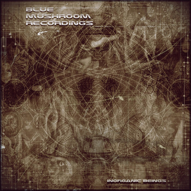 Blue Mushroom Recordings Photo