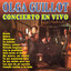 Concierto en Vivo cover