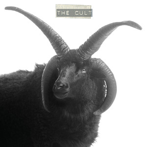The Cult cover
