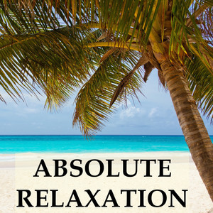 Absolute Relaxation Collection - 20 Soothing Instrumental Melodies for Deep Sleep, Yoga & Meditation, Stress Relief, Study Focus and Better Sleeping Habits album