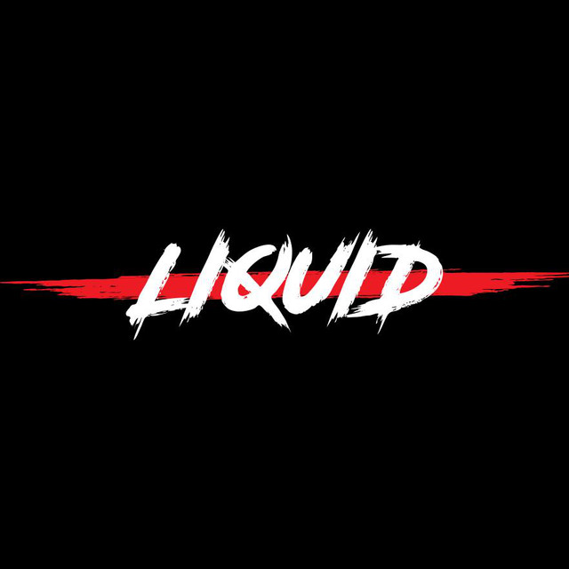 DJ Liquid photo