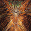 Focus [Expanded Edition] cover