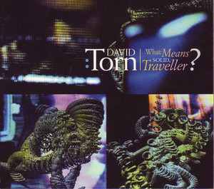 What Means Solid Traveller? album
