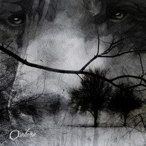 OsoLuna Photo