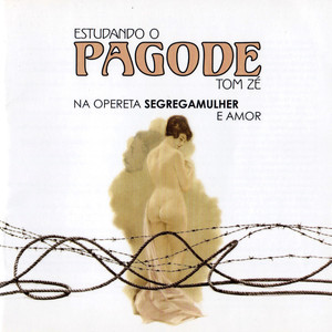 Estudando o pagode: Na opereta segregamulher e amor album
