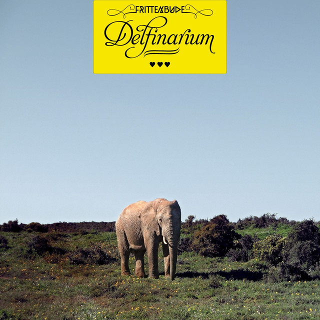 Delfinarium cover