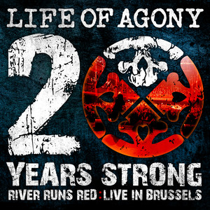 20 Years Strong | River Runds Red: Live in Brussels album