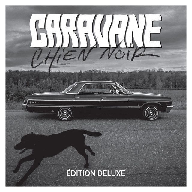 Chien Noir cover