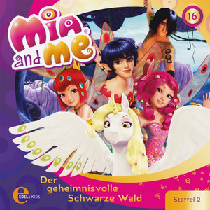 Folge 16: Der geheimnisvolle schwarze Wald (Das Original-Hörspiel zur TV-Serie)