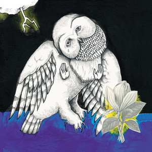 The Magnolia Electric Co. album