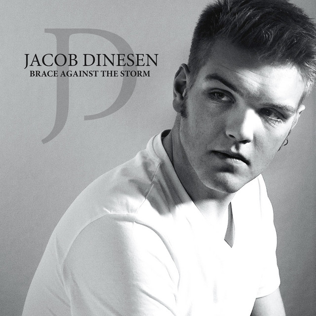 Brace Against The Storm cover
