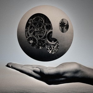 Omni Dimensional