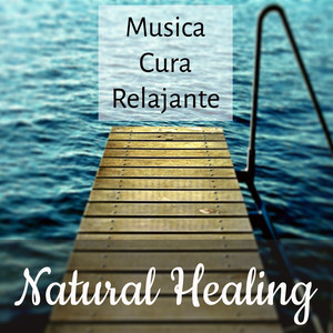 Natural Healing - Musica Yoga Cura Relajante para Desarrollo de la Mente Reducir la Ansiedad y Sanar el Alma con Sonidos de la Naturaleza Instrumentales de Meditación album