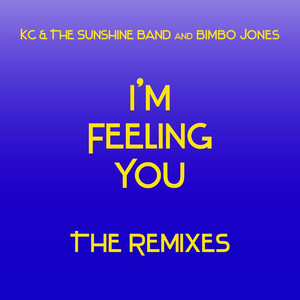 I'm Feeling You - The Remixes album
