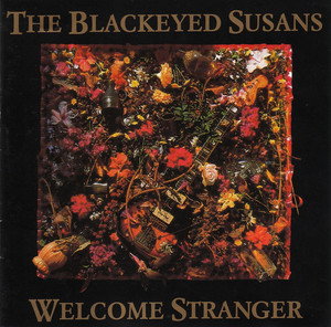 Welcome Stranger cover