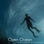 Open Ocean Albumcover