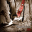 Lida cover