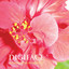 Digiface Albumcover