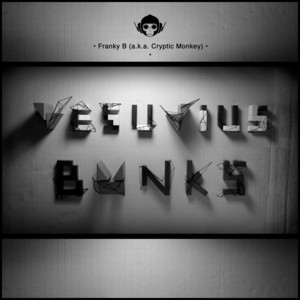 Franky B (aka Cryptic Monkey)