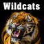 Wildcats Sound Effects Albumcover