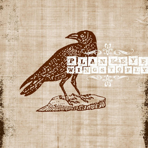 Wings to Fly cover
