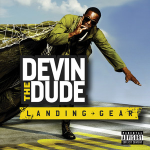 Landing Gear cover