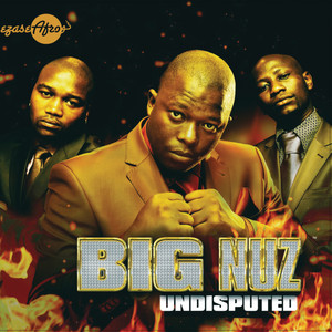Undisputed cover